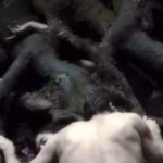 Horror movie with real-life sex scene was handed an anti-award due to controversy around it