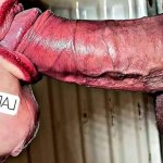 Quick Blowjob Cum In Mouth Porn Videos: Free UHD 4K 2160p XXX-rated Sex Videos 2026