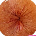 Anusticker 100 stickers beauty grappige stickers sexy fopartikel viering party billen anus rozet anus auto tuning lente break tattoo fans skateboard : Amazon.nl: Knutselen