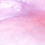 Astrid Wett Nudes Porn Videos: Best XXX 2026 8