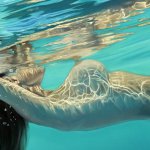 Michelle Lucking