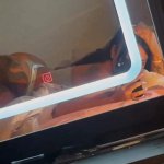 Jez Riel Nude OnlyFans Leak Picture 4b30b0jVYh