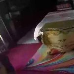Aditi Mistry Live Sex Cams Webcam Shows