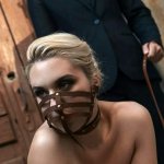 Bilder