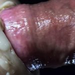 Guy Fucking Favorite Rubber Pussy Toy Over Porn Jazz Moaning Intense Intimate Close-ups Multiple Angles and Massive Cum Spurt: Gay Porn