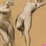 Female Nude Studies
