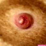 Nipples