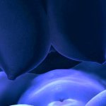 female fucked by futa pov