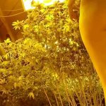 Nude Gardening with Freak77Show Grow Tips Episode 1 Leaf Picking