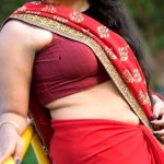 Kavya Madhavan super hot in red saree ?
