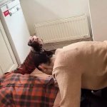 Video porno Italiane