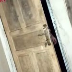 Kumpulan bokep indo Porno Videos
