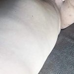 Hungarian Gypsy Girl Masturbating Porn Videos