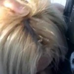 Fake Taxy Driver cum a lot in my mouth Public masturbation Porn Videos