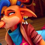 Crash Bandicoot Compilation
