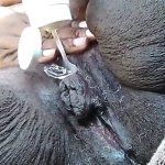 Ebony Car Masturbation Squirt Porn Videos