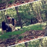 Fucked In The Forest