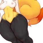 Rule 34