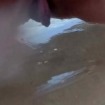 Shaved pussy peeing on public beach