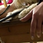Blondine wird gefesselt und wird hardcore gefickt Porno Videos