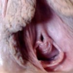Abbys Big Labia Pussy Lips Gaping Closeup