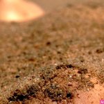 Wallpaper erotic sexy nude gils sand sandy pussy desktop wallpaper
