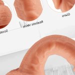 Realistic Penis Ejaculating Dildos