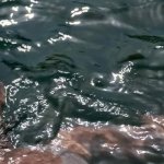 ELIZABETH OLSEN Nude Photos Sex Scene Videos