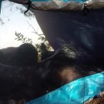 Tent Fucking Couple