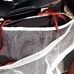 Kenyan Maid Porn Videos: XXX 2026 4