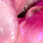Pussy Eat Out Cherry Pie