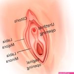 EYNTK about fingering How to finger a girl