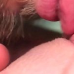 PUSSY LICKING. Loud moaning orgasm