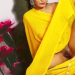 Sexy Yellow Saree