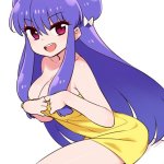 shampoo ranma 12 drawn by chanco