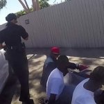 Screw the Cops