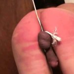 Free Ass Whipping Porn Videos