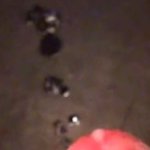 Big cumshot over the floor 7 squirts of cum
