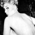 Kim Novak 1955 by Longtimerecovery on DeviantArt