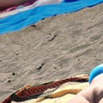 nude voyeur porn pics