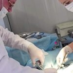 Russian Family Sex HD Porn Videos
