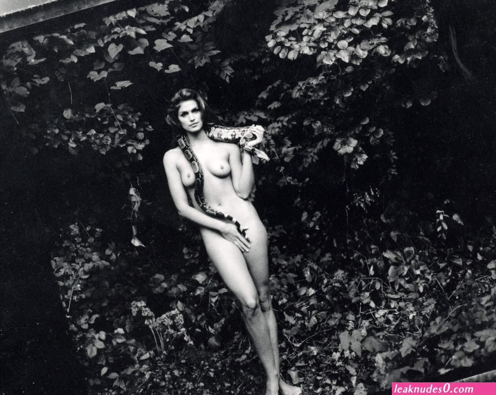 Pamela bowen naked (photos)